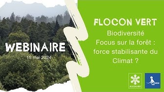 Miniature, wébinaire Flocon vert "la forêt force stabilisante du climat",